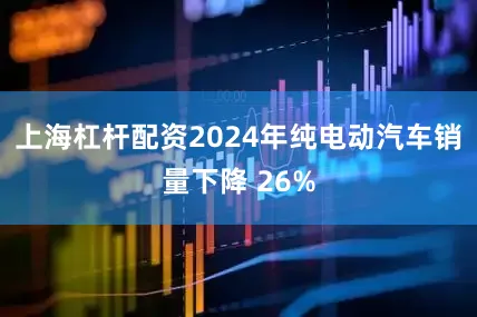 上海杠杆配资2024年纯电动汽车销量下降 26%