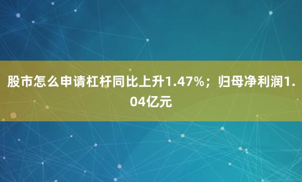 股市怎么申请杠杆同比上升1.47%;归母净利润1.04亿元