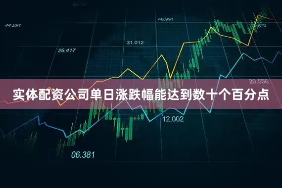 实体配资公司单日涨跌幅能达到数十个百分点
