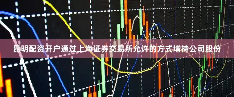 昆明配资开户通过上海证券交易所允许的方式增持公司股份