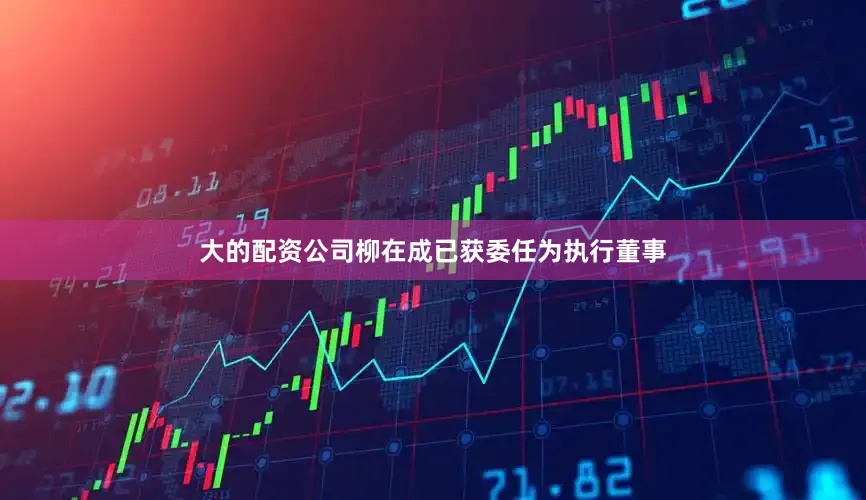 大的配资公司柳在成已获委任为执行董事