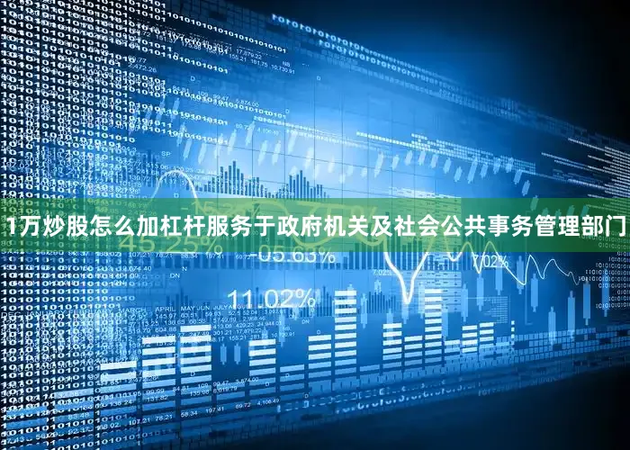 1万炒股怎么加杠杆服务于政府机关及社会公共事务管理部门