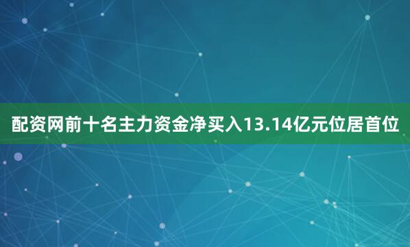 配资网前十名主力资金净买入13.14亿元位居首位
