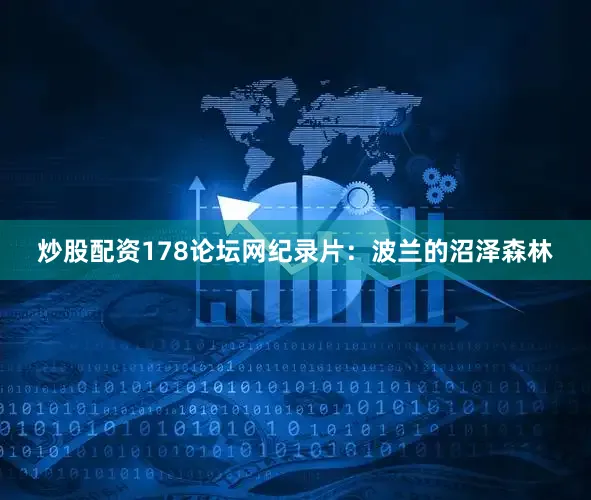 炒股配资178论坛网纪录片：波兰的沼泽森林