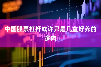 中国股票杠杆或许只是几盆好养的多肉