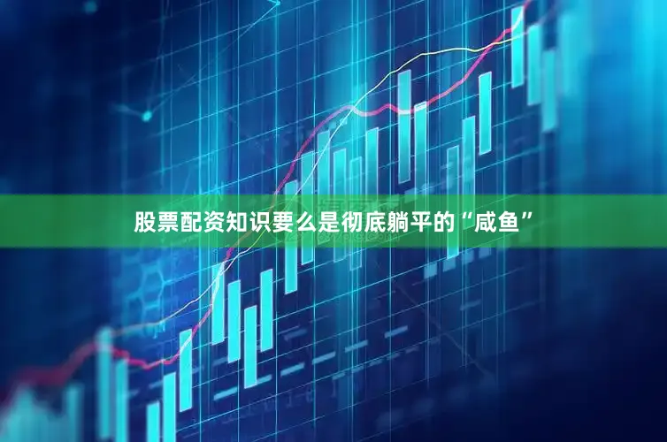 股票配资知识要么是彻底躺平的“咸鱼”