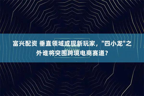 富兴配资 垂直领域或现新玩家，"四小龙"之外谁将突围跨境电商赛道？